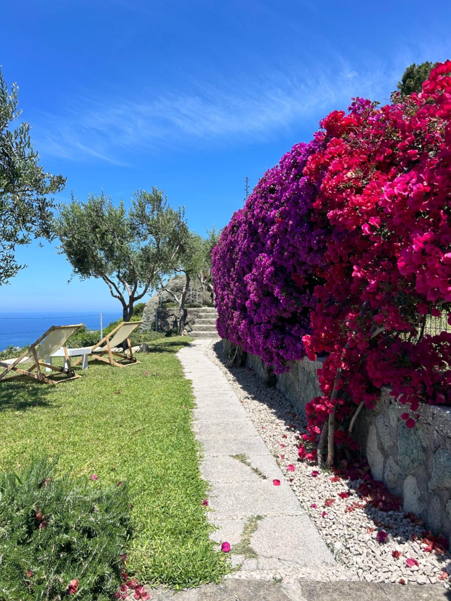 Villa Inarime Isquia Exterior foto