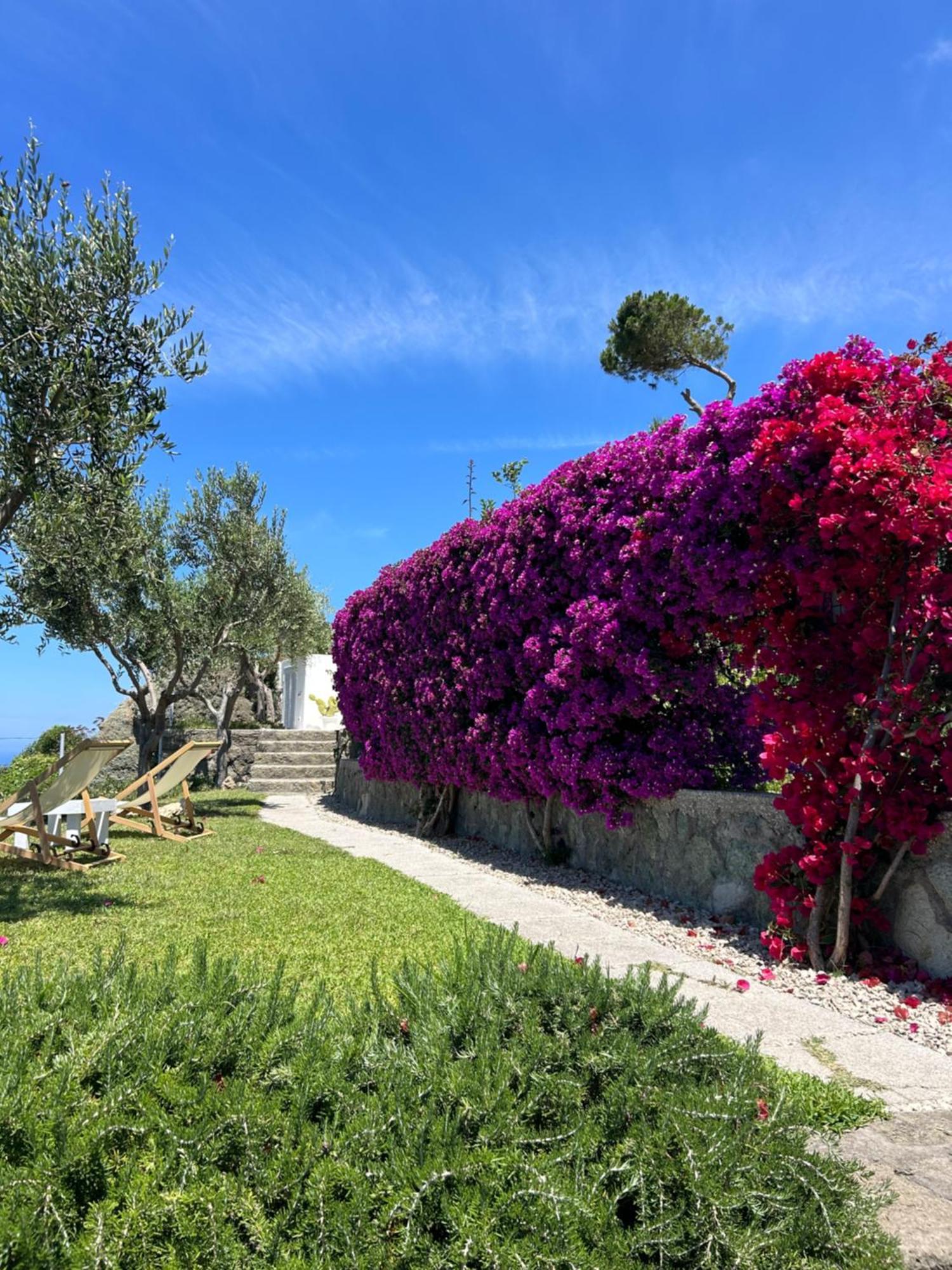Villa Inarime Isquia Exterior foto