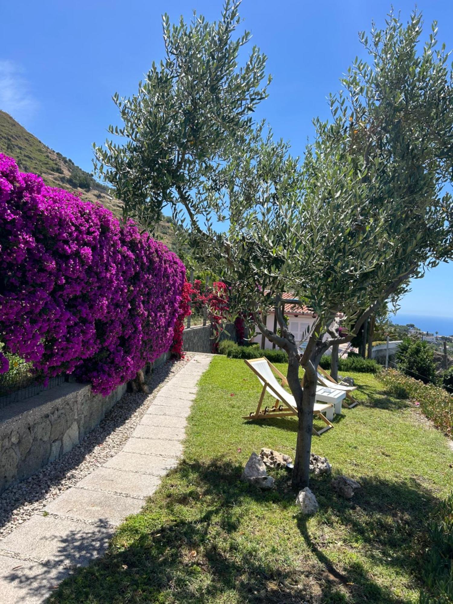 Villa Inarime Isquia Exterior foto